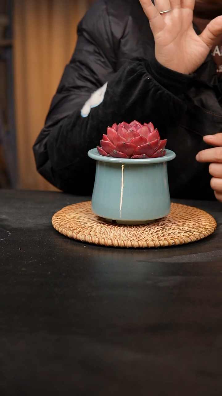 【闪购商品】瓷片泥泥手工花盆口8高8