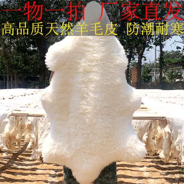 整张纯绵羊皮毛一体沙发椅子汽车垫保暖防潮宿舍飘窗地毯褥子床垫