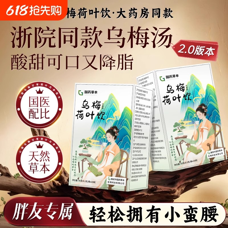 【浙江省中医院】同款配比乌梅汤2.0茶包升级乌梅荷叶饮养生茶