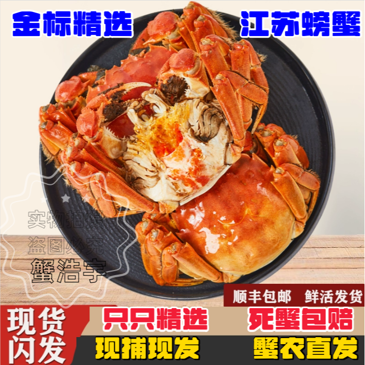 【金标活蟹】6只8只10只装全母蟹（㍚0-㍚5两）洪泽湖螃蟹礼盒顺丰包邮