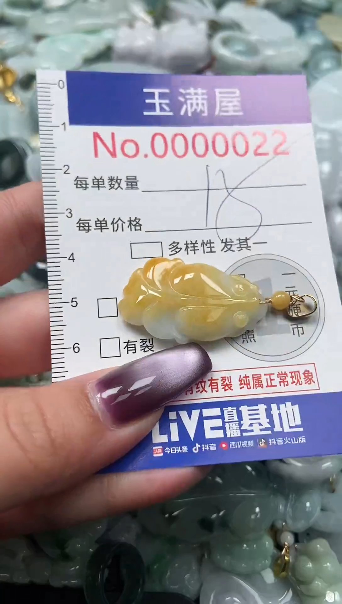 颈饰未镶嵌翡翠22