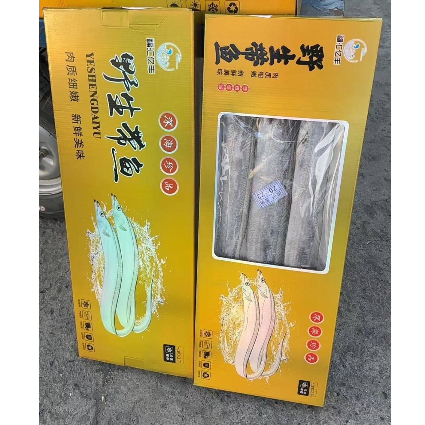 【礼盒款大号】舟山油带6条礼盒黄金款 四指宽  净重4.5斤--达人专属D