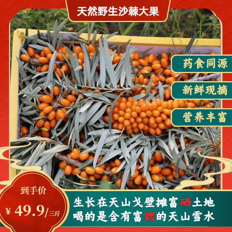 天然绿色有机沙棘大果新疆特产沙棘果现采现发3斤装（带枝带叶）