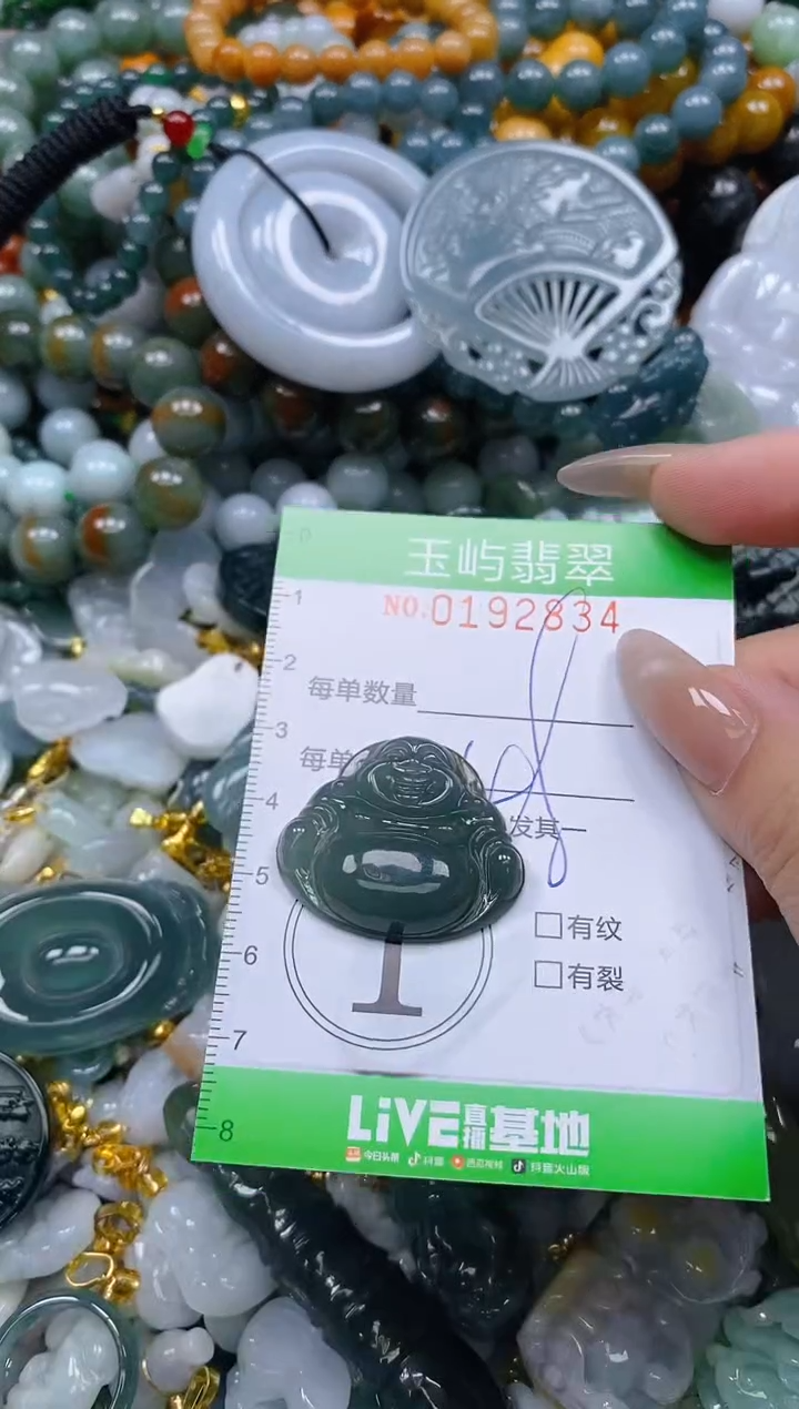 翡翠未镶嵌颈饰闪购0192834