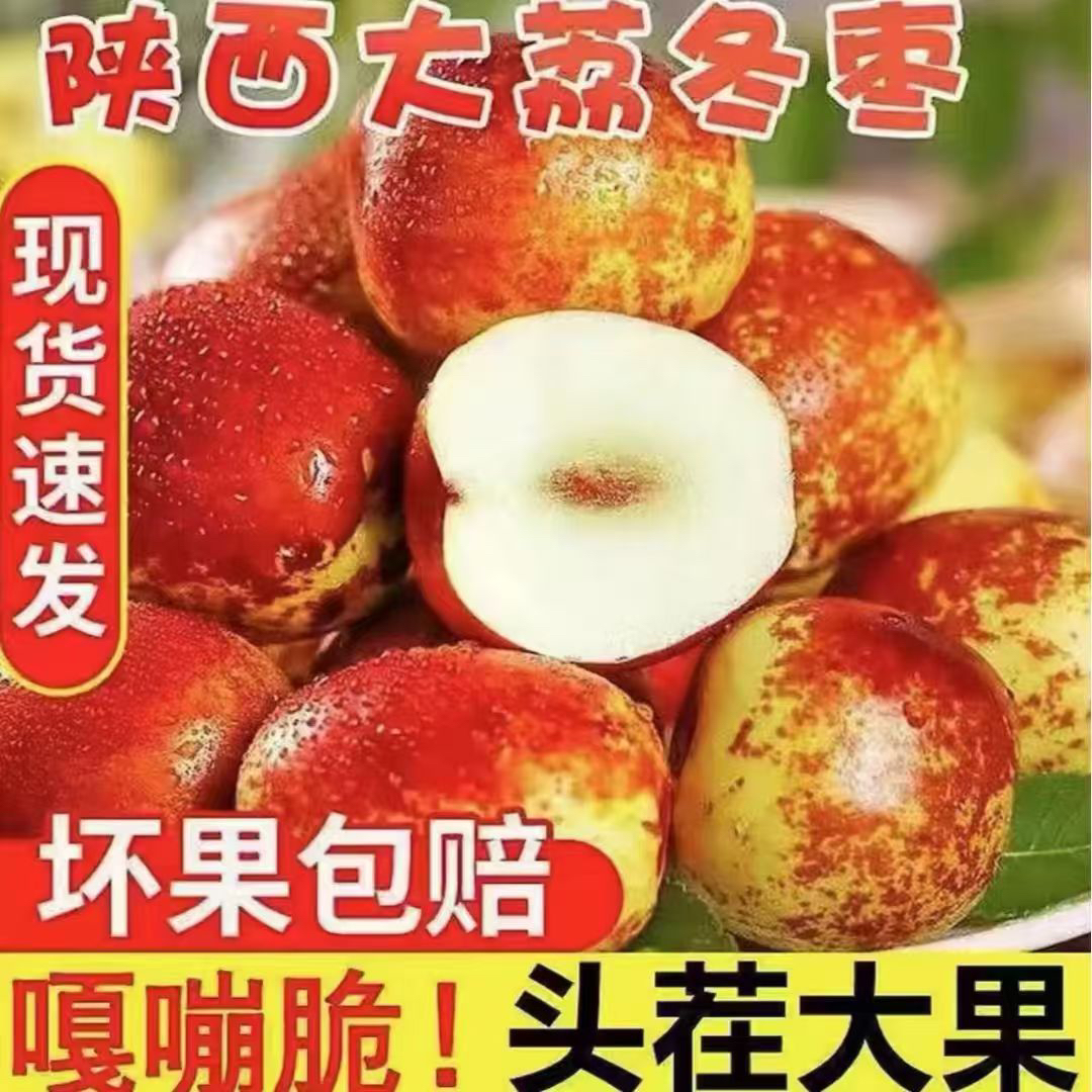 2025头茬陕西大荔冬枣冰糖脆甜枣子新鲜送礼水果
