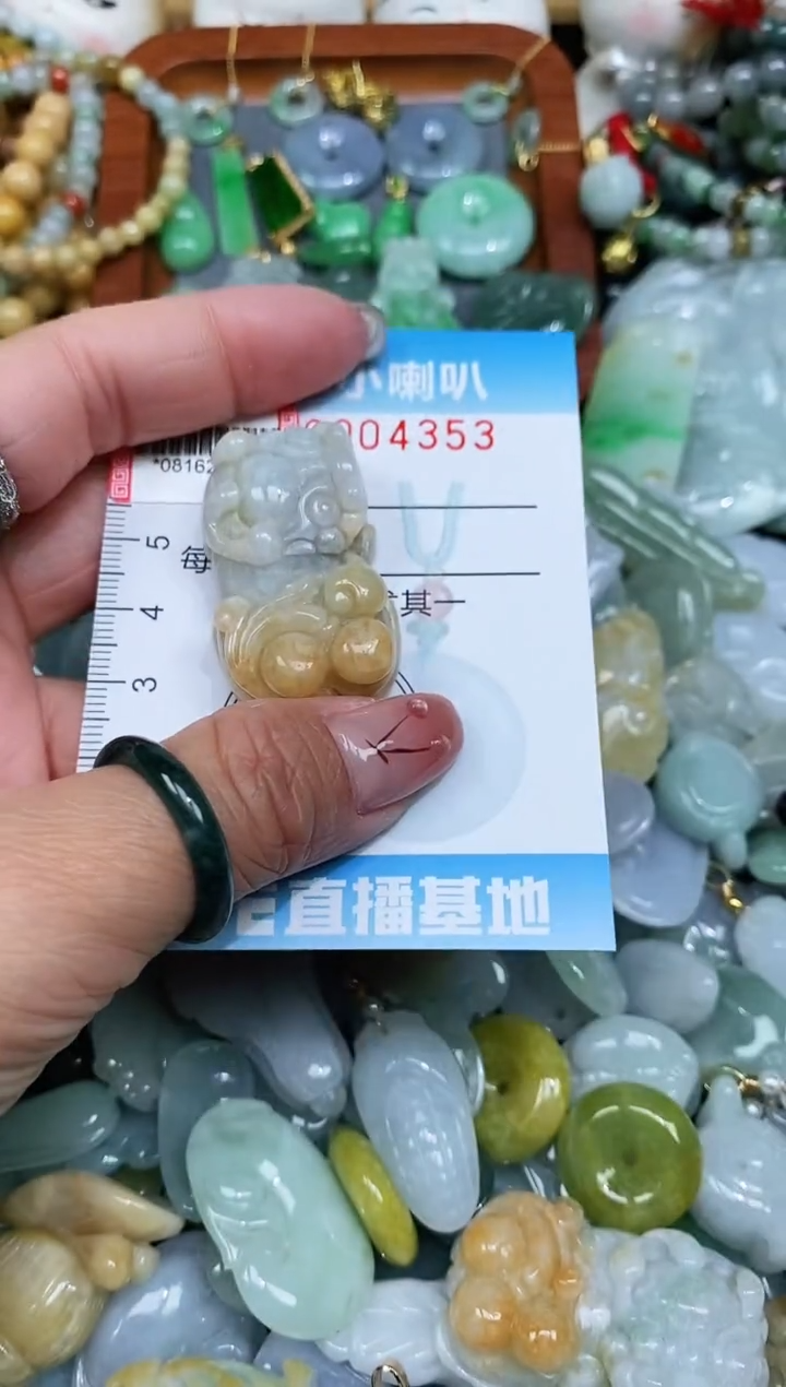 【闪购商品】翡翠颈饰未镶嵌闪购0004353