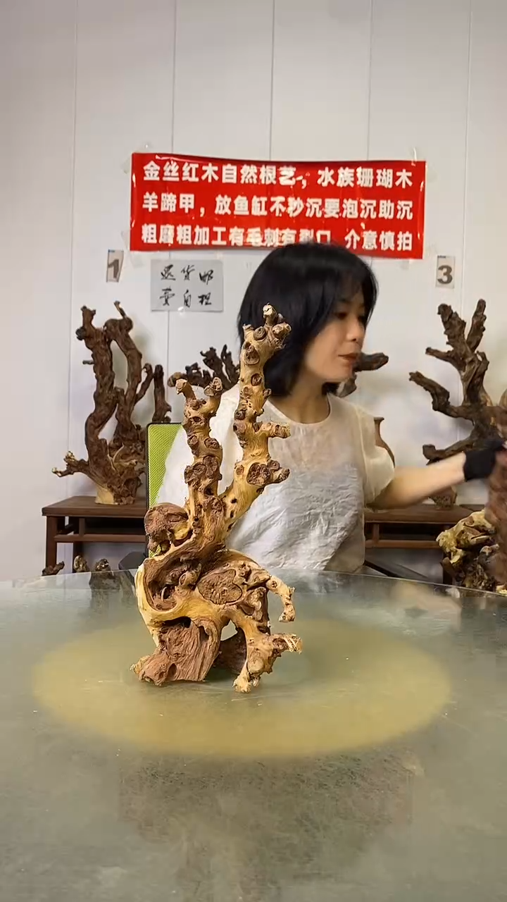 香榧木依*墅金丝红木   羊蹄甲
