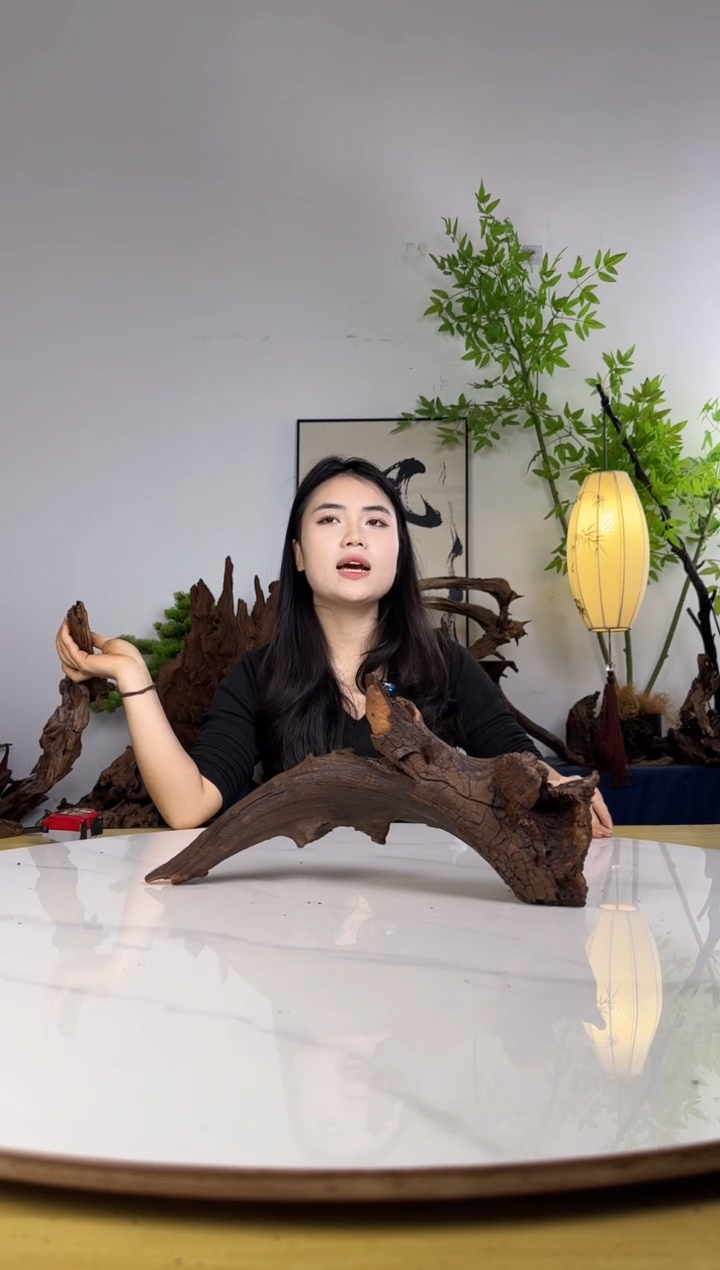 好**安拍沉木定向链接编号37