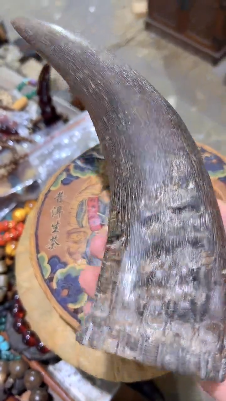 紫砂紫砂紫砂紫砂