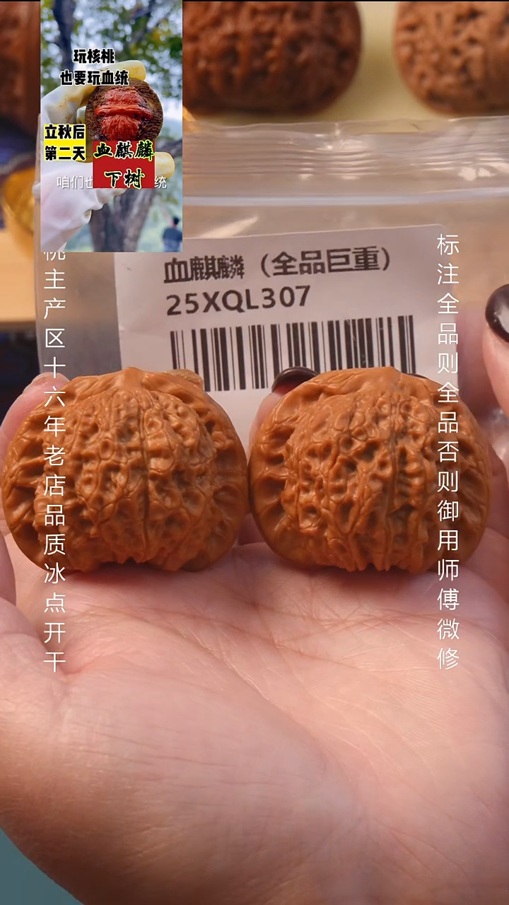 把件文玩核桃42血麒麟【全品】8号