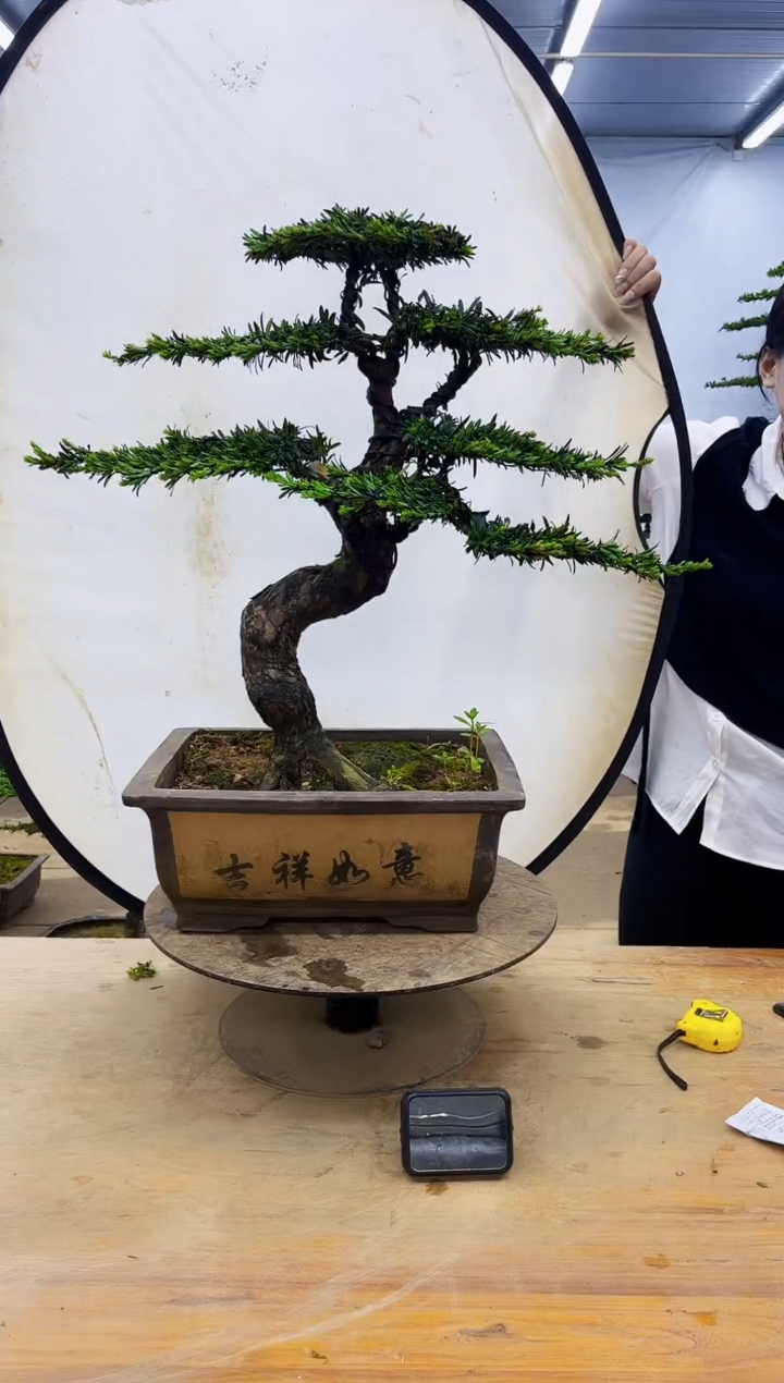 无花朵一物一拍，所见即所得