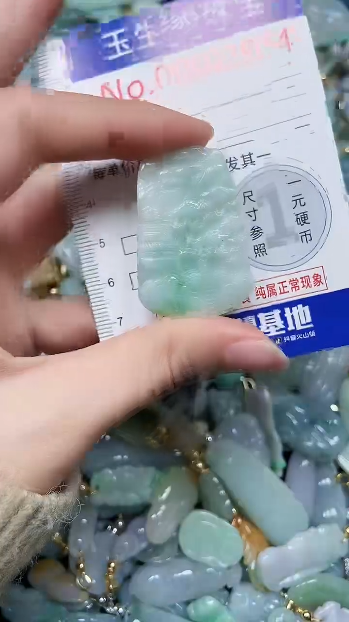 【闪购商品】翡翠颈饰未镶嵌闪购00002954