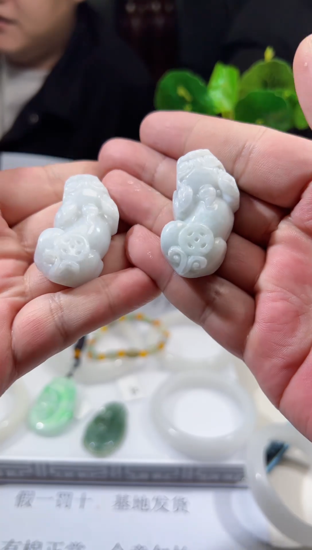 【闪购商品】翡翠颈饰未镶嵌天然翡翠（多样性发）貔貅