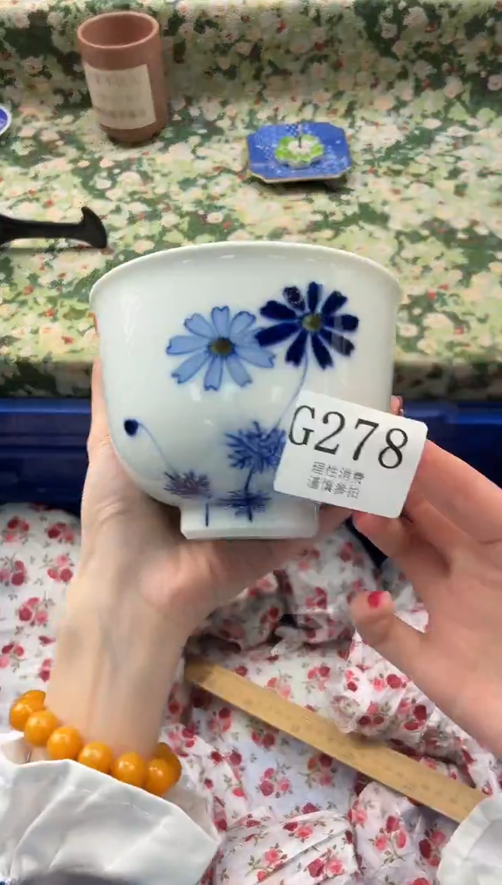 瓷片?****草       G278