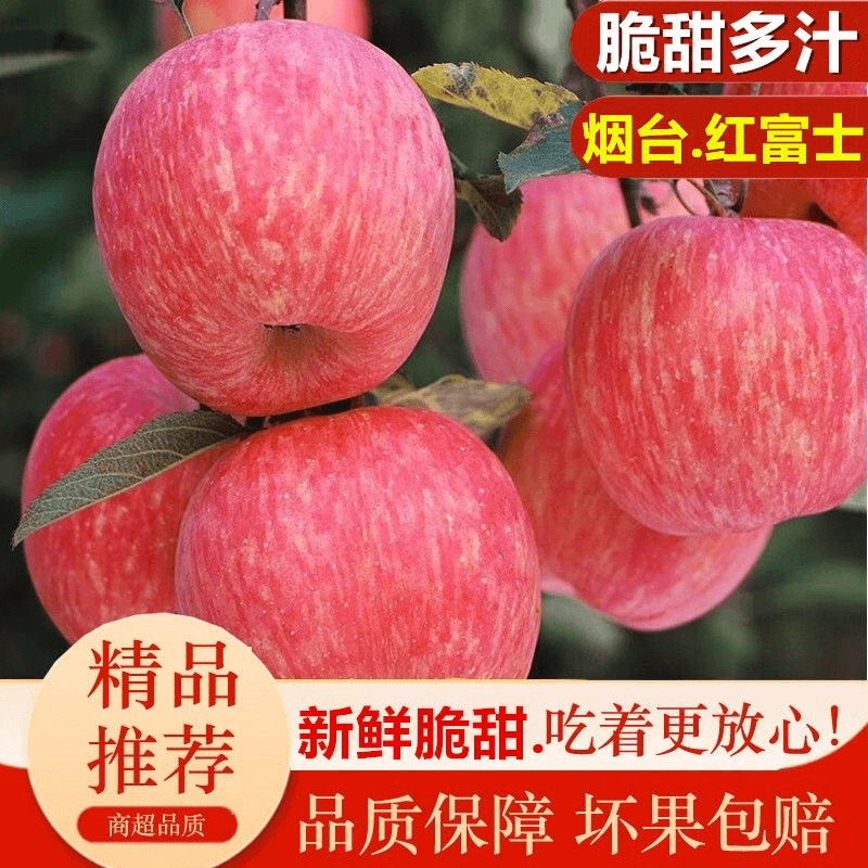 【商超精品果】助农正宗烟台栖霞红富士苹果冰糖心产地直发脆甜多汁 图片 1