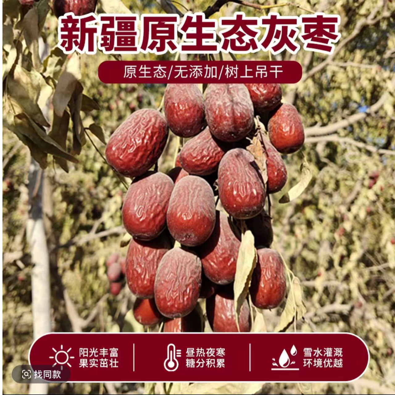 新疆特产和田红枣