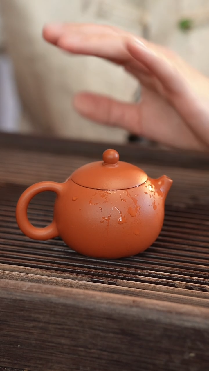 茶壶紫砂西施 朱泥 半手工 110cc