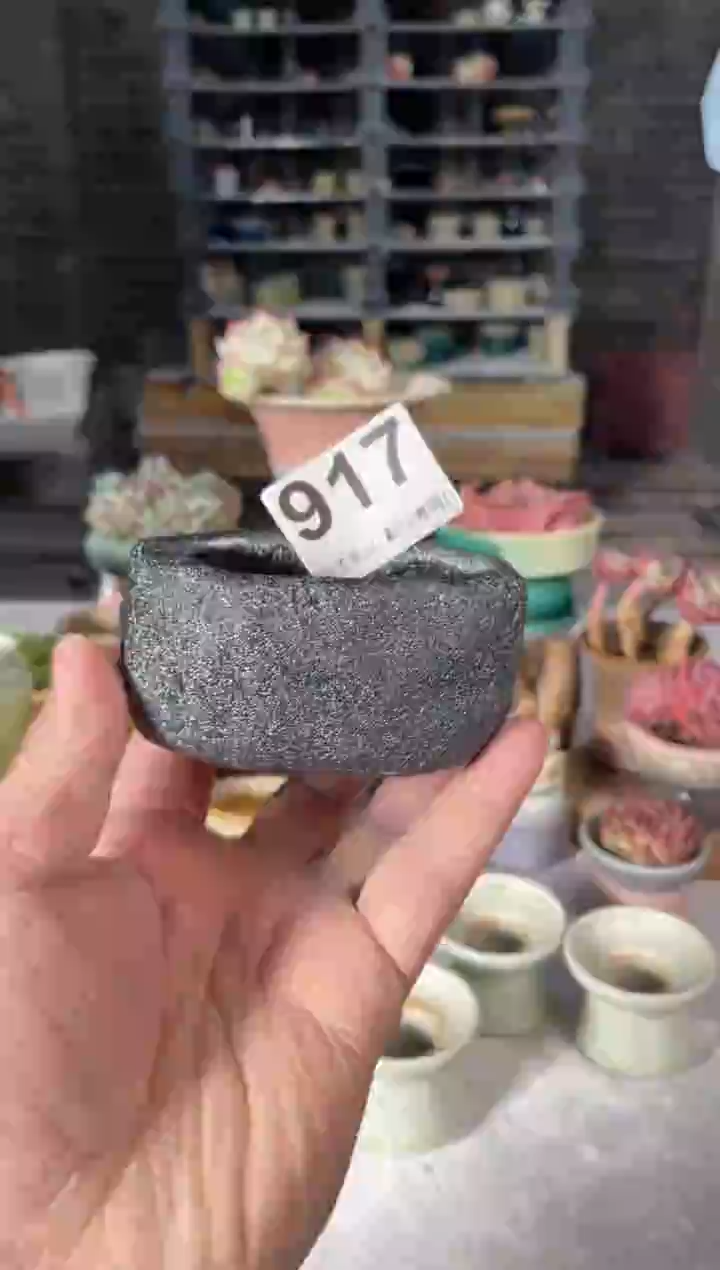 瓷片917小芳直播编号