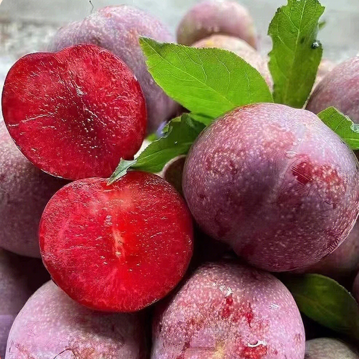 酸甜脆爽广西三华李应当季水果李子产地直发