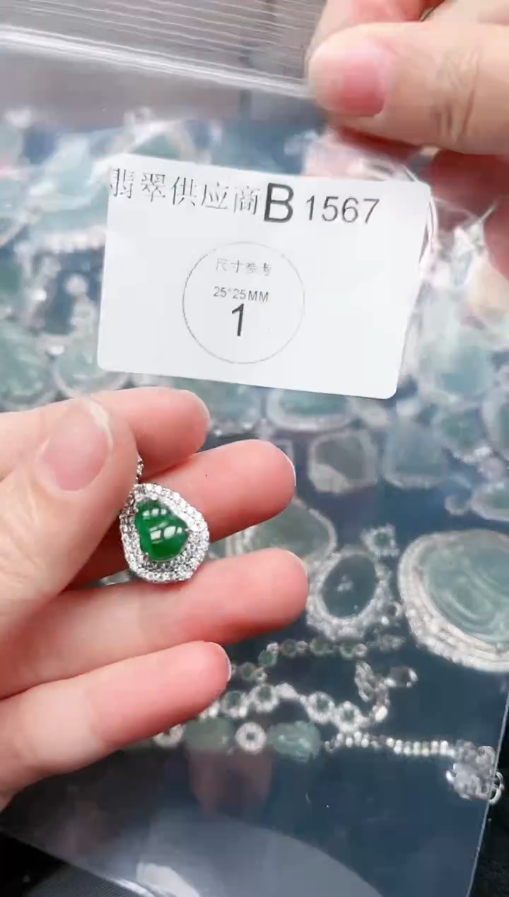 【闪购商品】翡翠颈饰未镶嵌1567赠皮绳