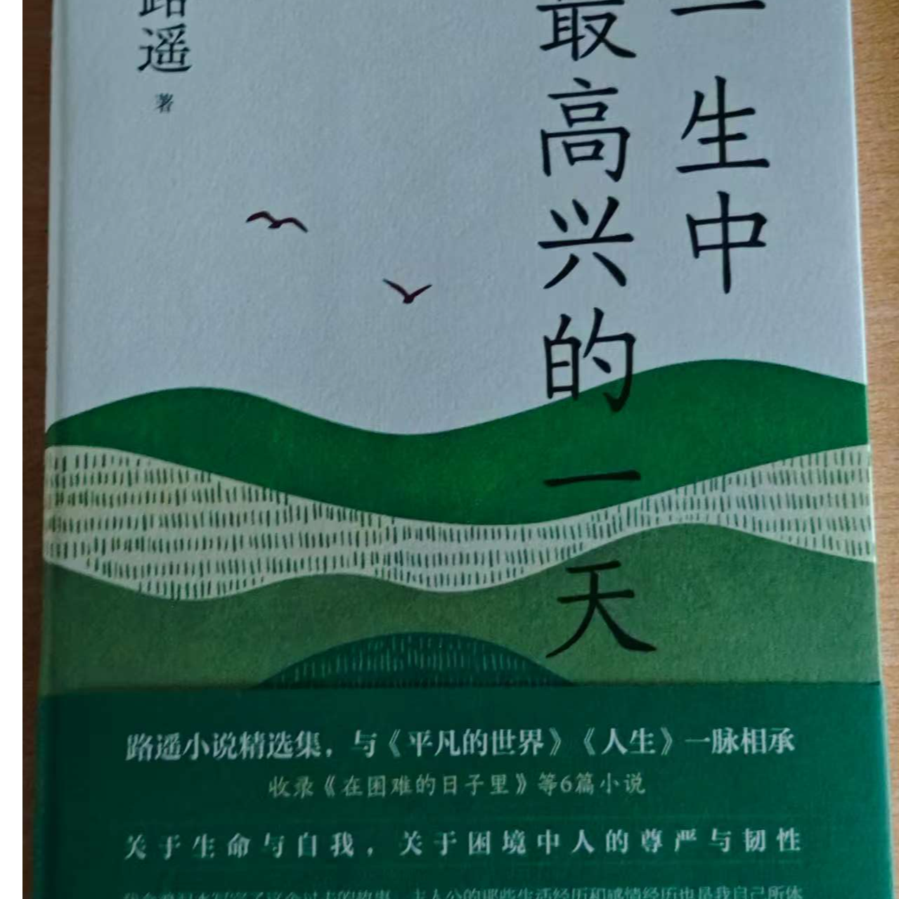 小说精选集质朴温暖给予走出困境的勇气