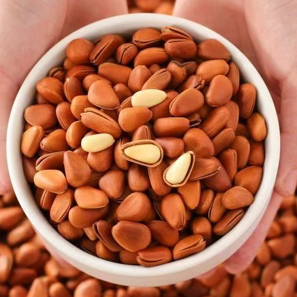 x新货东北笨炒大颗粒开口红松子原味健康营养坚果零食