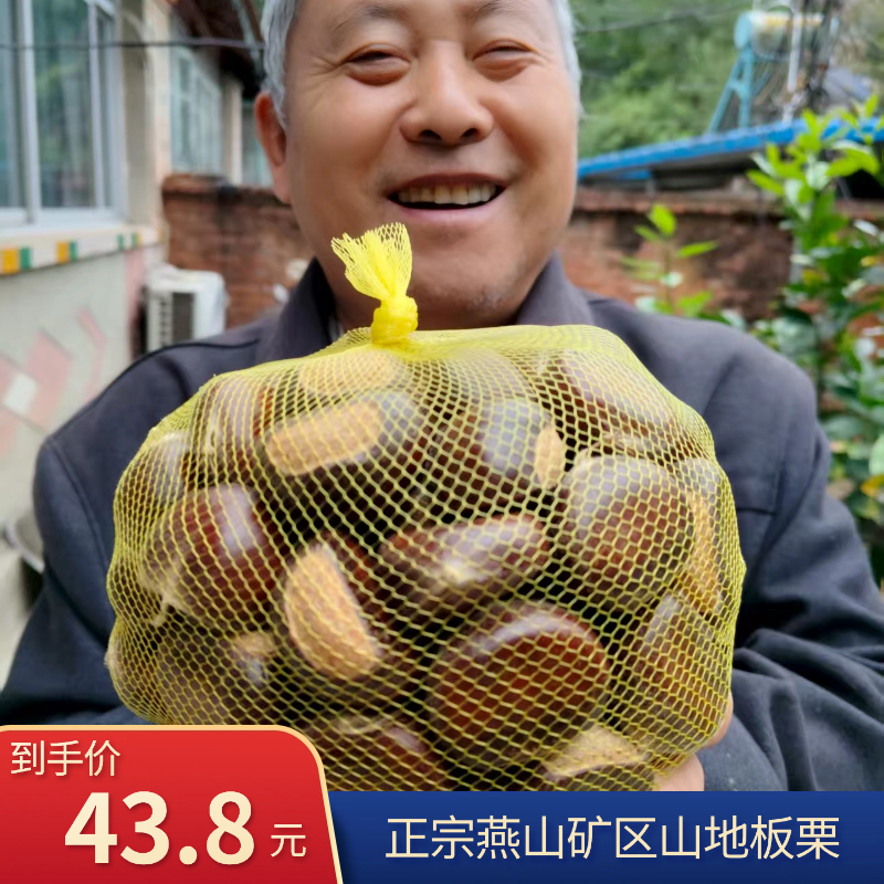 2025新下树山坡地头茬兴隆农户自销燕山甘栗生板栗新鲜京东板栗