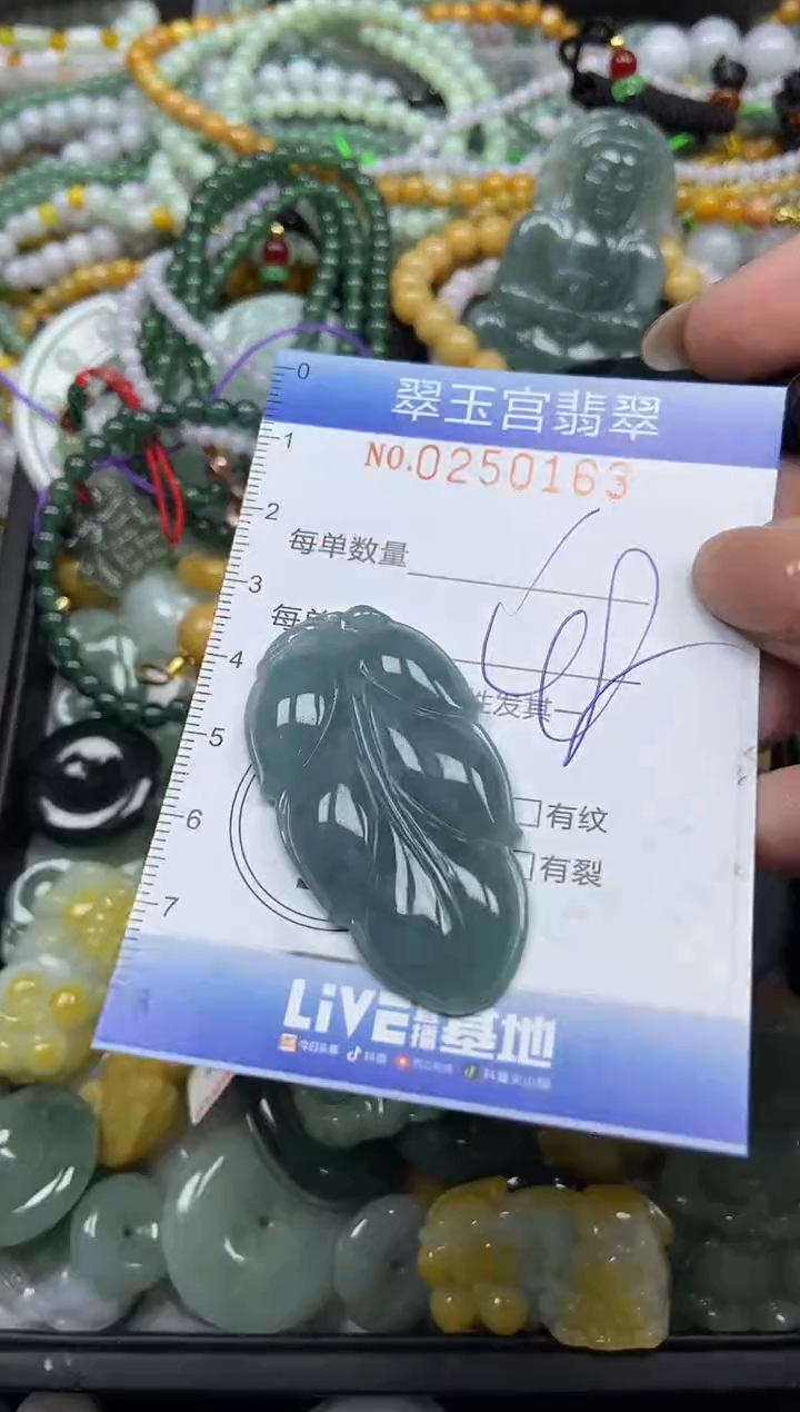 颈饰未镶嵌翡翠闪购C0250163