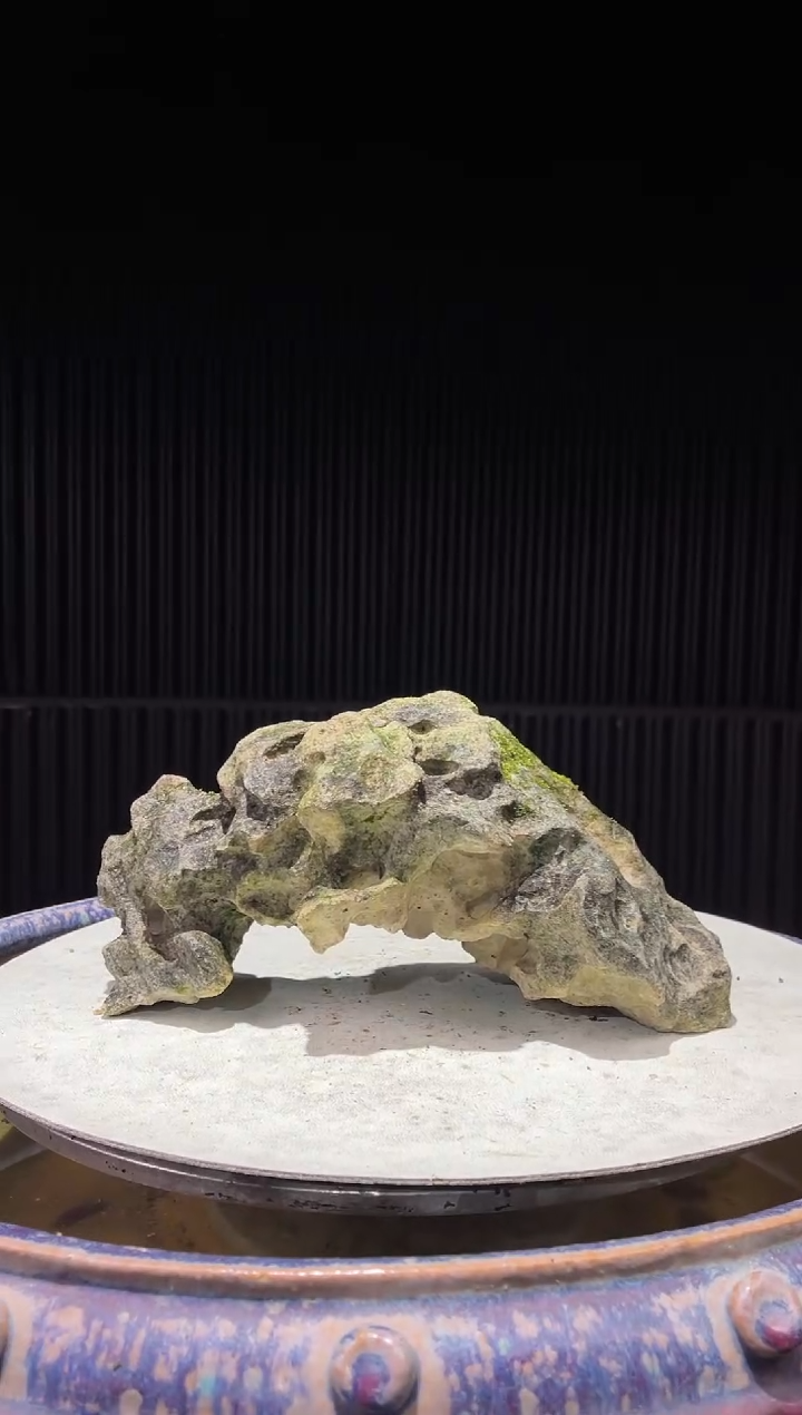 造型吴定石一物一拍专属