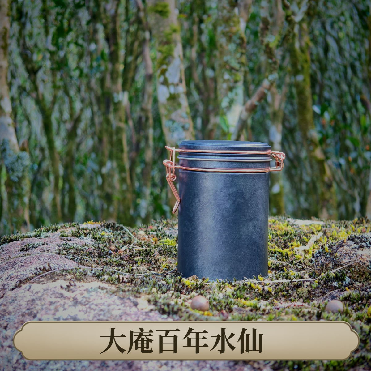 大庵百年水仙   双十二限定 水仙50g