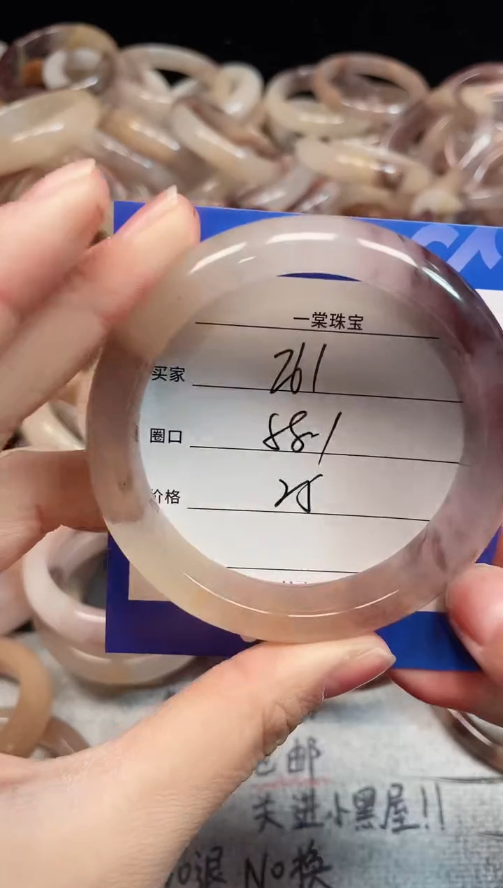 未镶嵌手镯石英质玉261