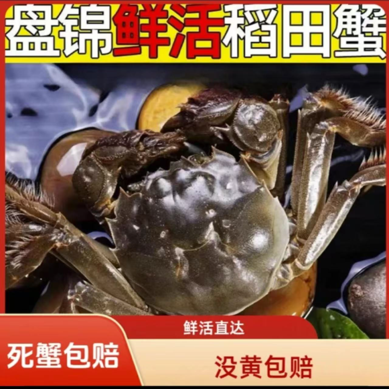  【活蟹】盘锦河蟹 全母蟹 1.1-0.8两/只 20只 京东次日达