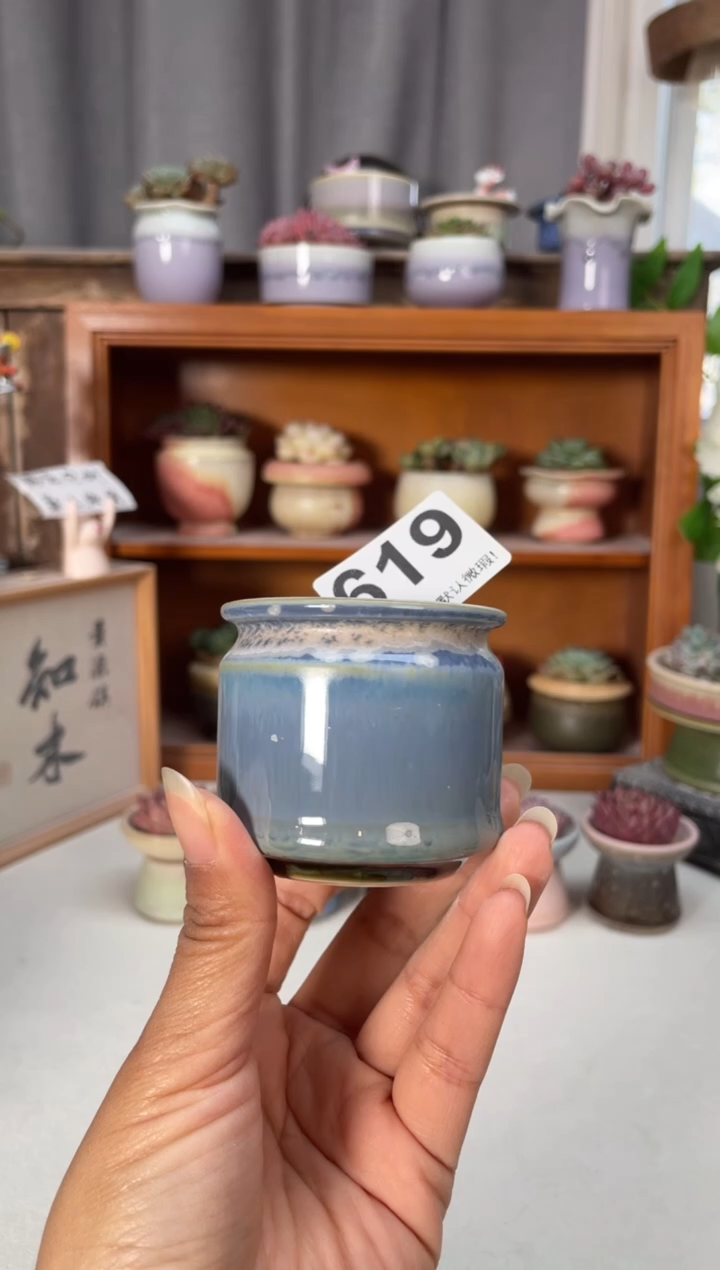 瓷片619知木小芳花盆