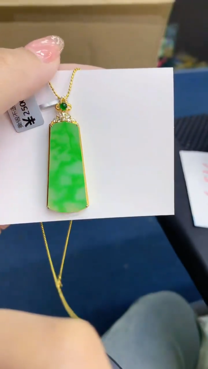 【闪购商品】翡翠18K金镶嵌颈饰            8
