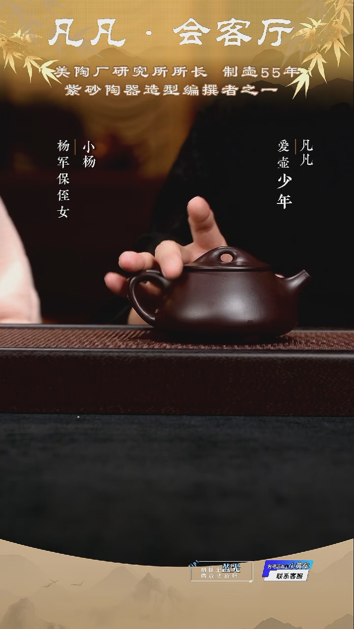 茶壶紫砂YP杨军保16 石瓢黑墩头300cc