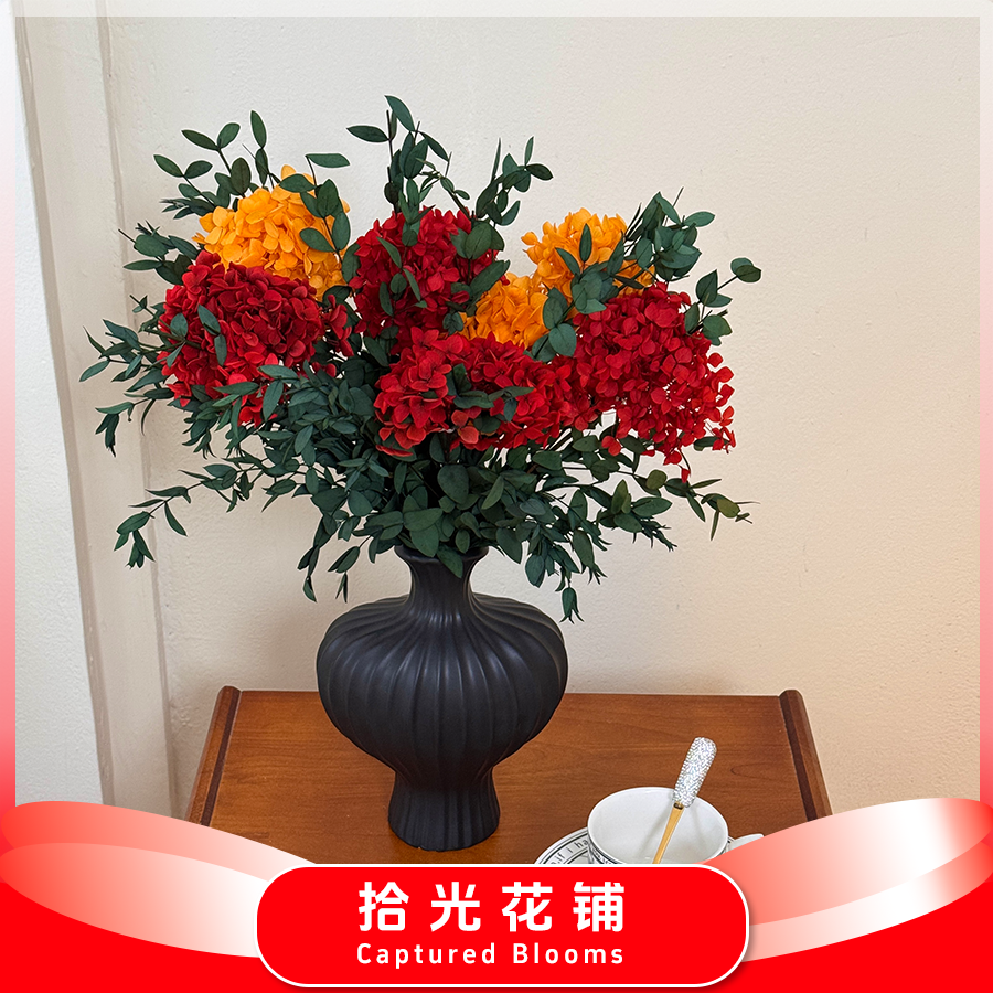 【金哥】花好月圆梦想成真永生绣球云南鲜切花花期超长家居装饰