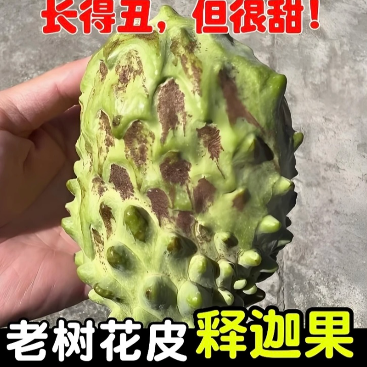 【二媛专属】【先放软再食用】广西原生态老树凤梨释迦果保温发货