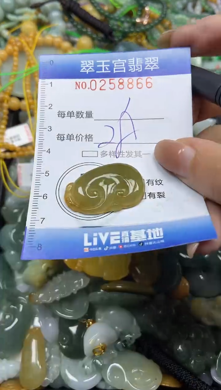 颈饰未镶嵌翡翠闪购C0258866