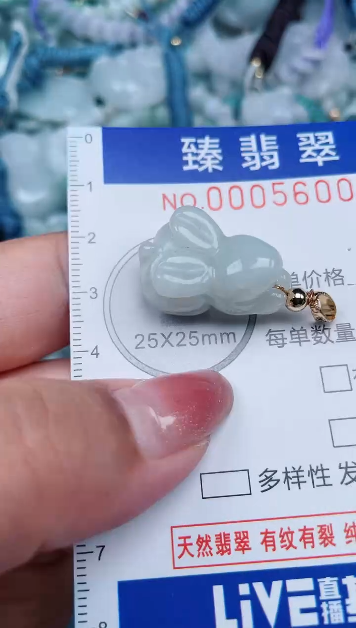 【闪购商品】翡翠颈饰未镶嵌.0005600