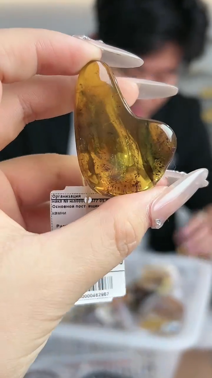 【闪购商品】琥珀裸石未镶嵌虫珀