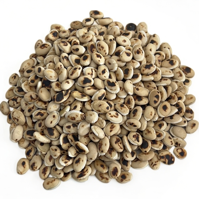 【普源优选】精选炒白扁豆