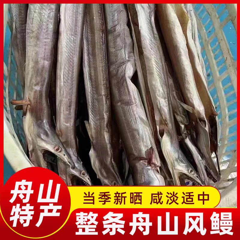 正宗舟山本地内港单拖鳗鱼 渔民自制风干风鳗鱼腌制风鳗筒淡晒