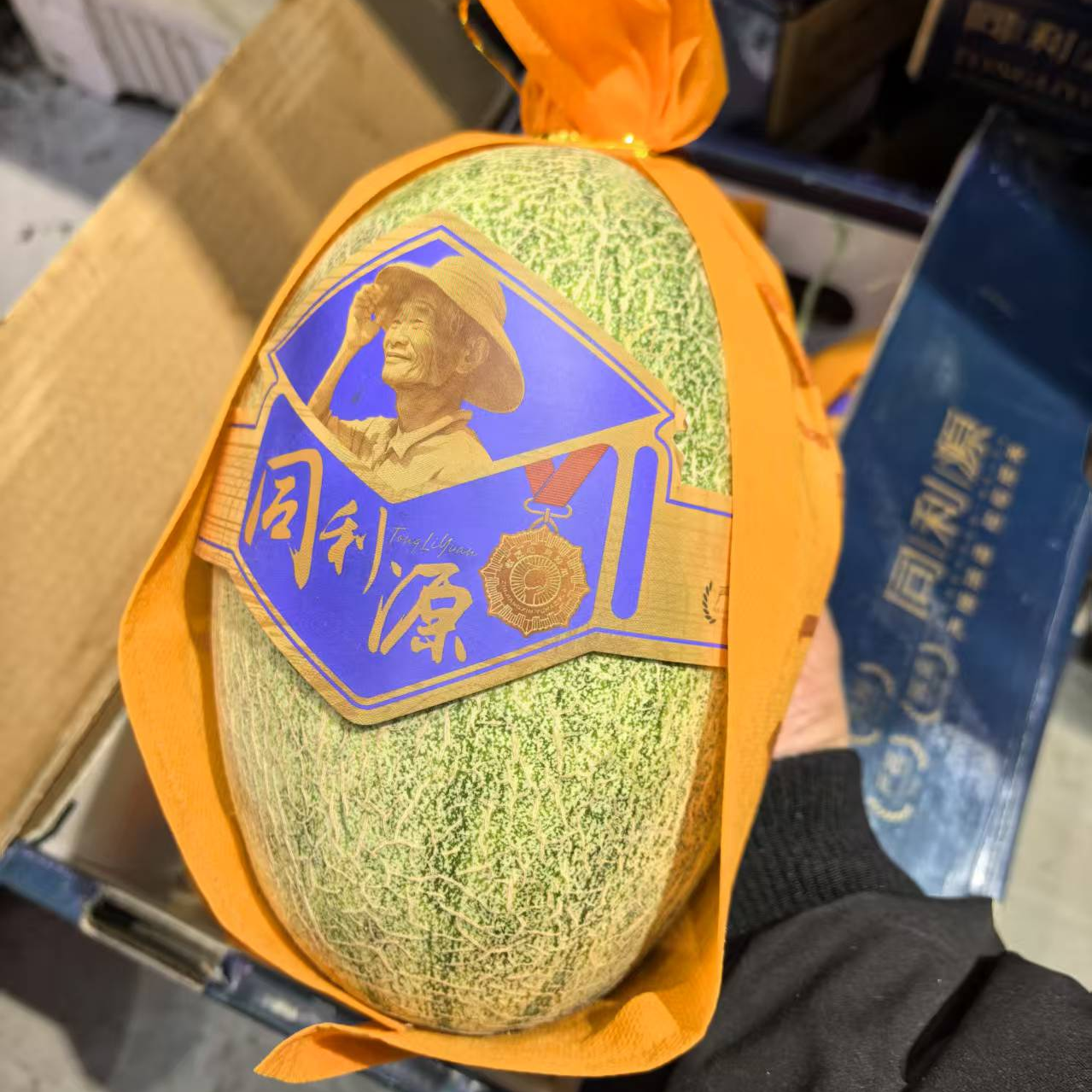 【小蜜瓜4粒装13-14斤毛重】春节福利长春同城顺风包邮到家