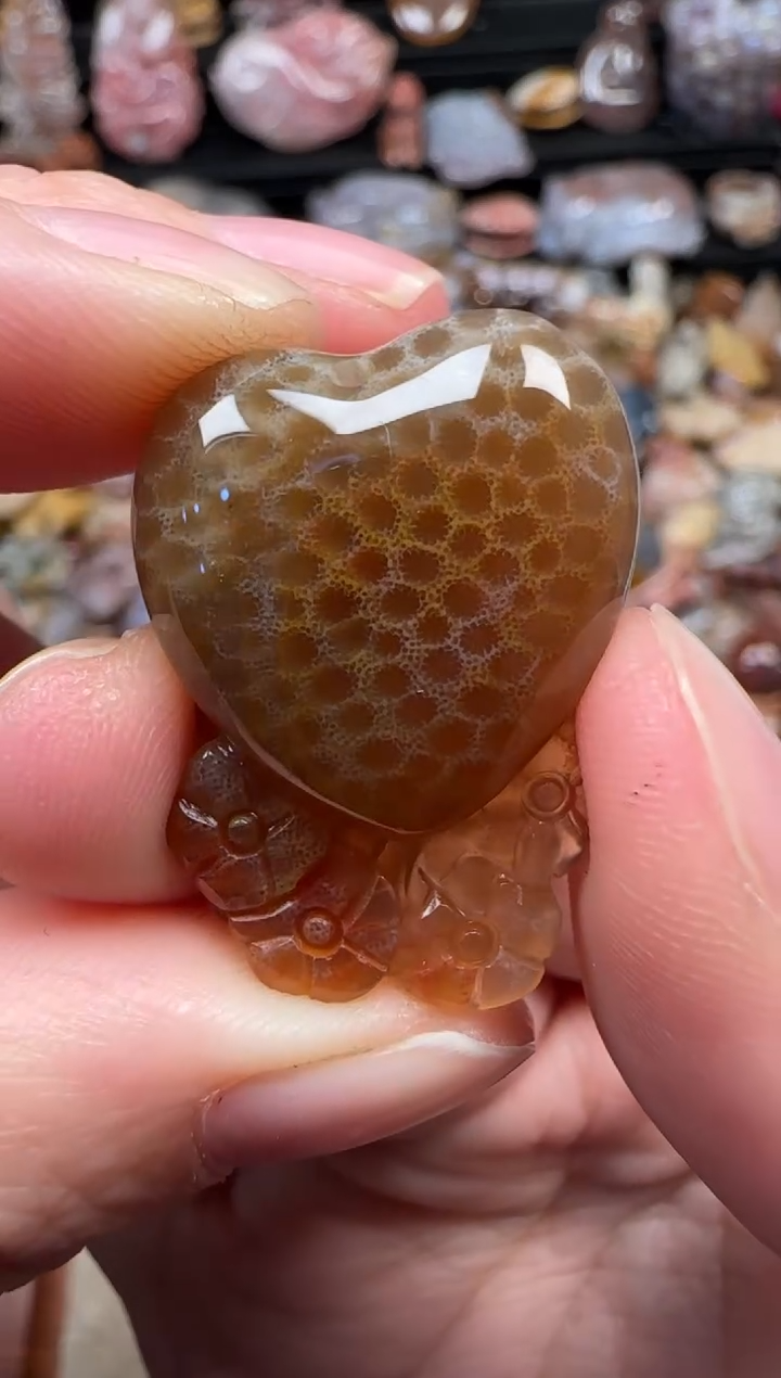 颈饰未镶嵌硅化珊瑚（珊瑚玉）915