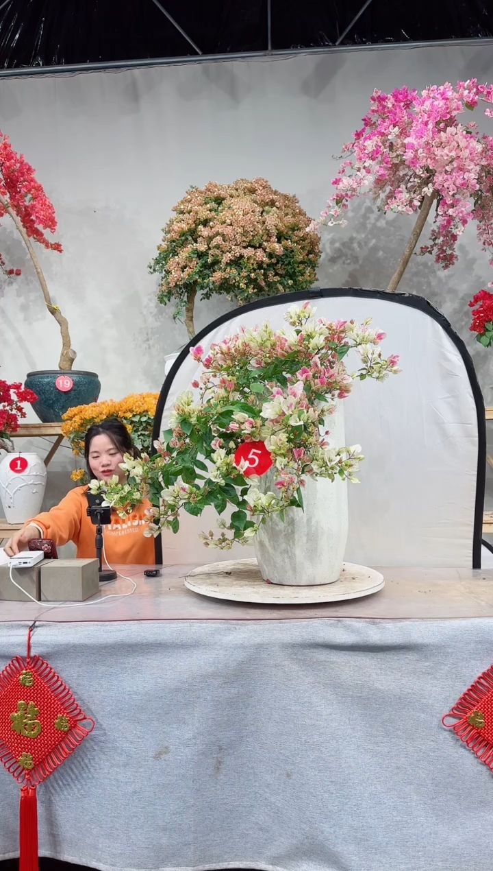 【闪购商品】盆景漳红缨