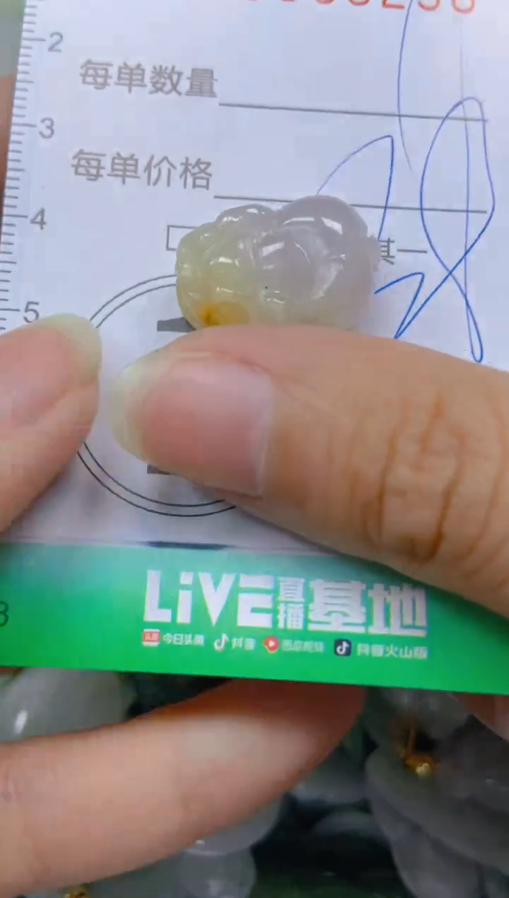 【闪购商品】翡翠颈饰未镶嵌闪购0086256