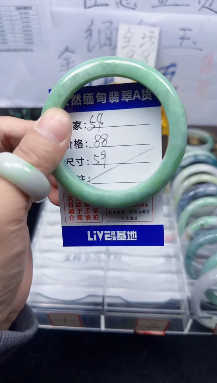 未镶嵌手镯翡翠54