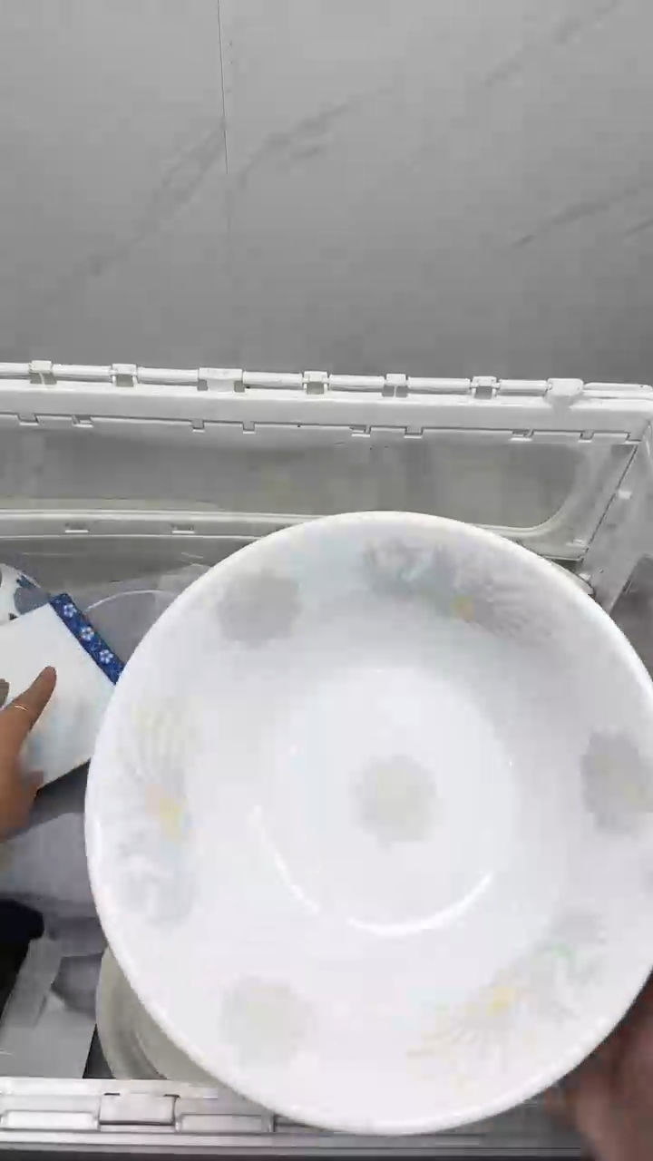 【闪购商品】4709回流瓷器默认微瑕，18.8包邮