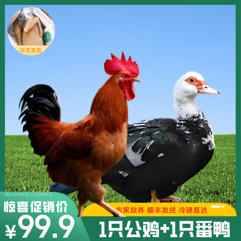 【鸡鸭组合】一只（净膛）番鸭+一只农家土公鸡 净膛宰杀后8斤 顺丰冷链包邮