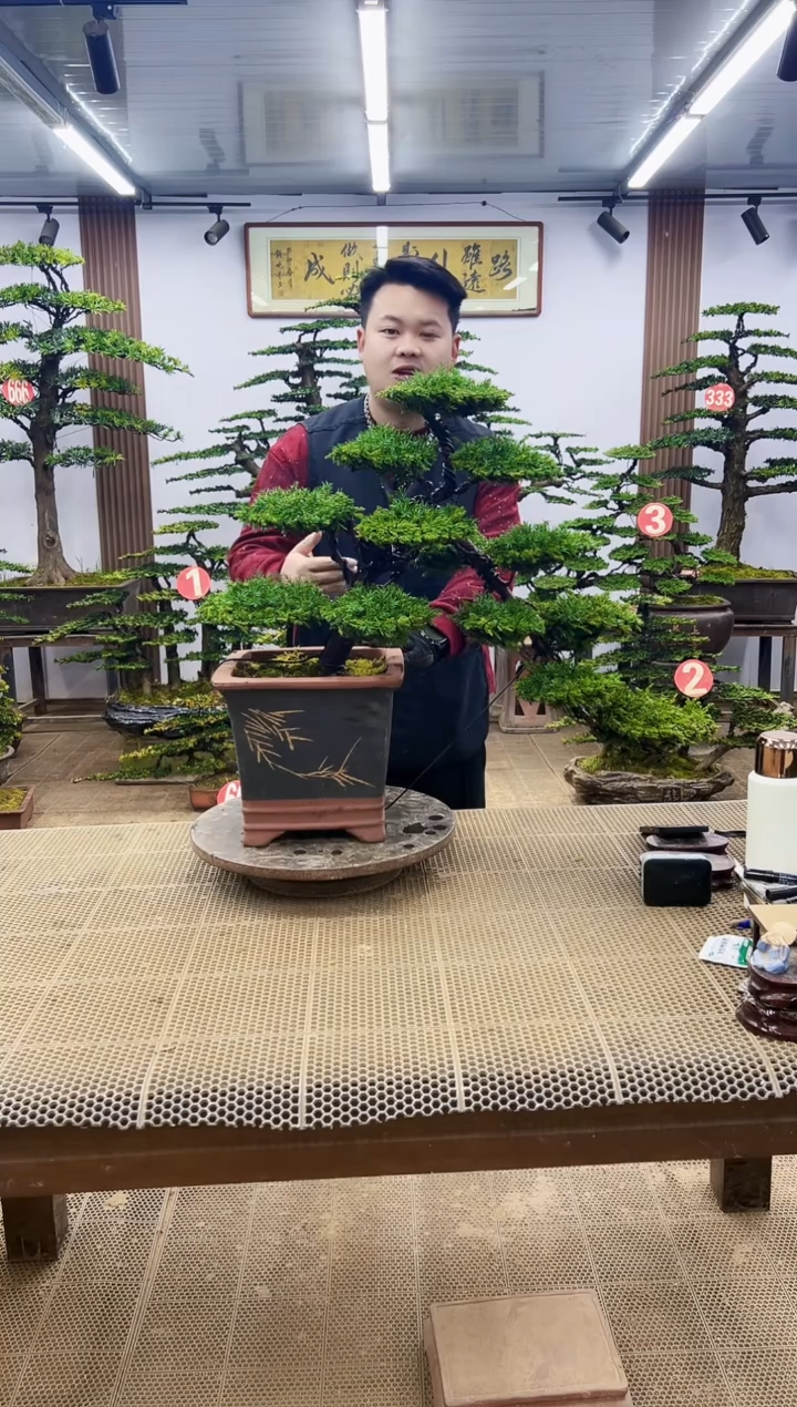 【闪购商品】0000000000